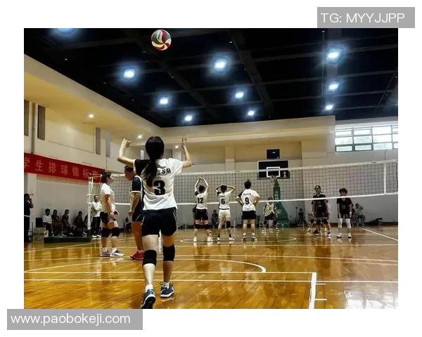 武汉排球队个人能力深度解析与排球技艺的完美结合