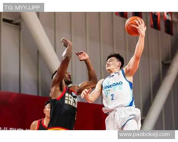 数据分析：深圳篮球队的实力表现